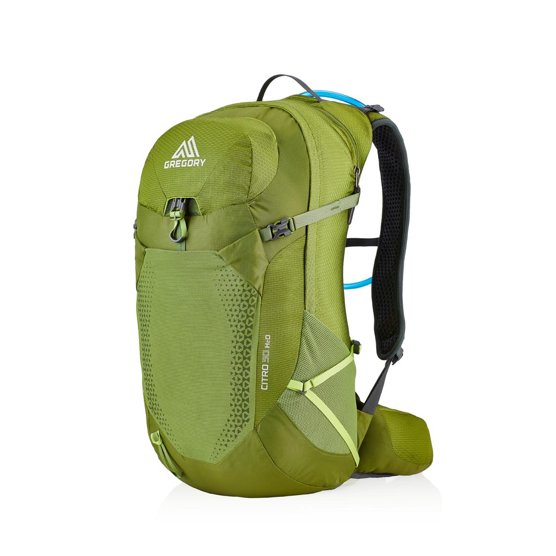 Gregory Citro 30 H2O Hiking Backpack Men Green Ireland 3974OJEVS